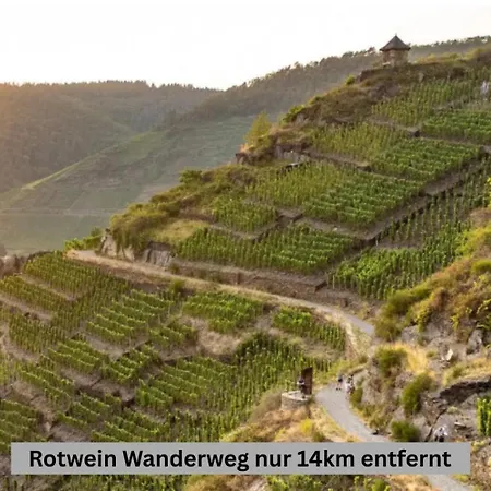 Besondere Nähe Nürburgring Apartment Luckenbach