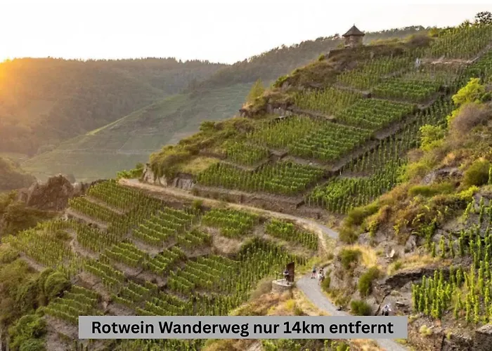 Besondere Naehe Nuerburgring Appartement Luckenbach